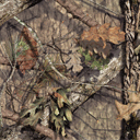 http://www.brp.ca/content/dam/canam-offroad/Global/MY2016/Images/Color-Swatches/MossyOak.png