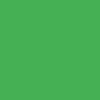 VERT SUPERSONIQUE - ÉDITION LIMITÉE VERT SUPERSONIQUE - ÉDITION LIMITÉE